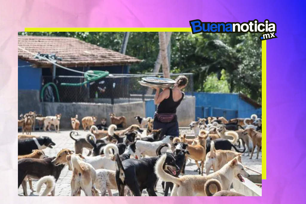 Buena noticia sanruario animal