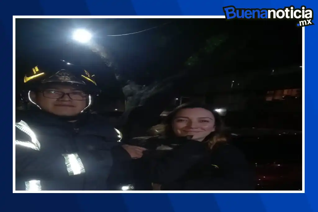 Bomberos de la CDMX rescataron a un gatito que quedo atrapado en un ducto de aire, sin embargo, la sorpresa llegó cuando se dio a conocer que la mascota era propiedad de la actriz Regina Blandón.