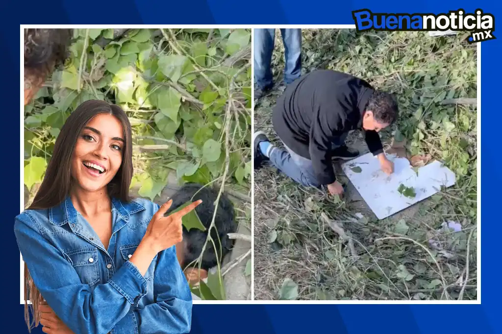 La historia de un hombre que vivió por al menos dos años en una alcantarilla de Puebla se hizo viral en redes sociales y al darse a conocer su historia, vecinos de la zona se han solidarizado con él.