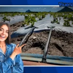 ¡Buena noticia! Reciclar aguas residuales para regar granjas