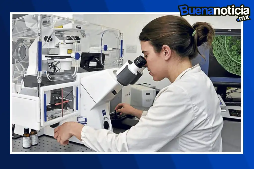 Un equipo de científicos de la Universidad de Edimburgo ha logrado lo impensado: convertir residuos plásticos en paracetamol usando bacterias vivas.