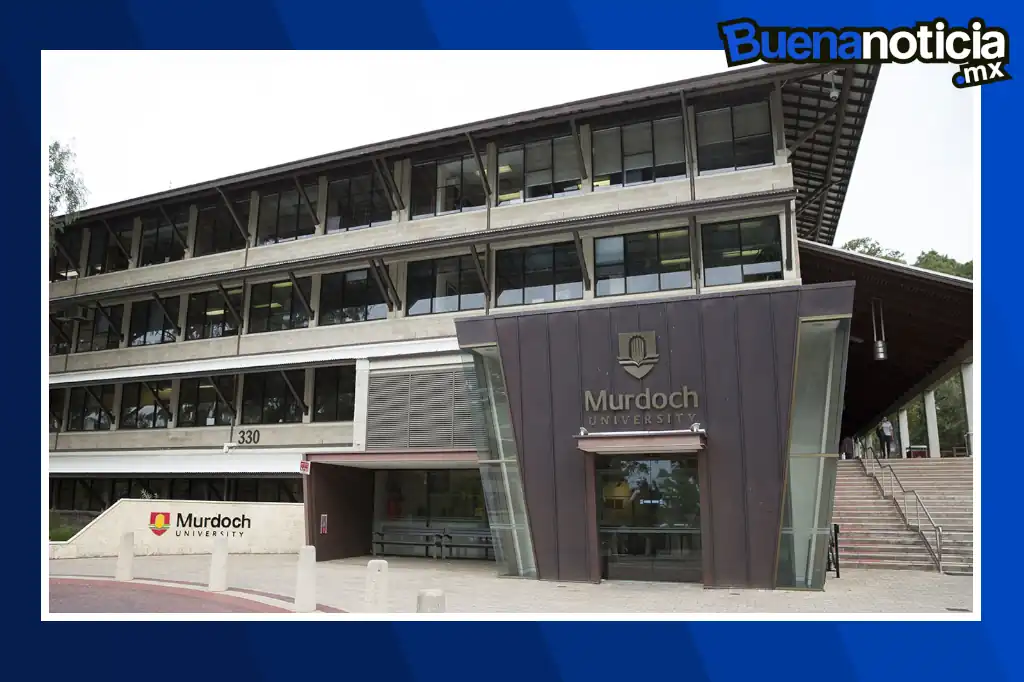 En respuesta a la crisis global de contaminación por plásticos, científicos australianos han desarrollado una solución prometedora y local: bioplásticos comestibles para microbios que se degradan sin dejar residuos.