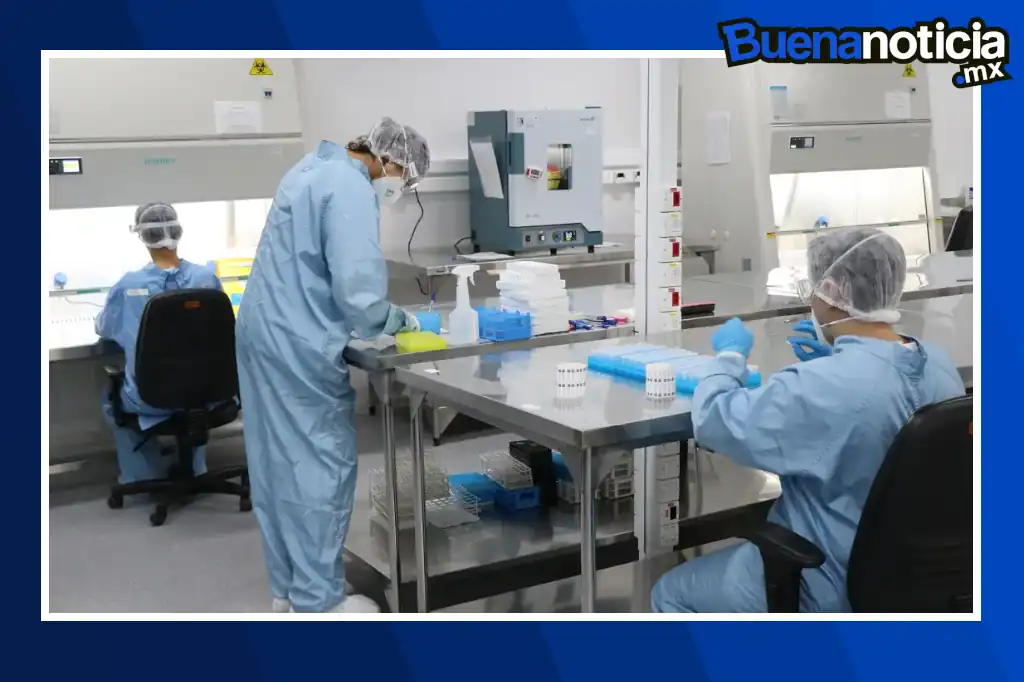 Un avance sin precedentes en la lucha contra el cáncer ha sido logrado por un equipo internacional liderado por científicos de la Charité–Universitätsmedizin Berlin, se trata de un modelo de inteligencia artificial (IA) capaz de identificar más de 170 tipos de tumores con una precisión superior al 97%, según fue publicado recientemente en la revista Nature Cancer.