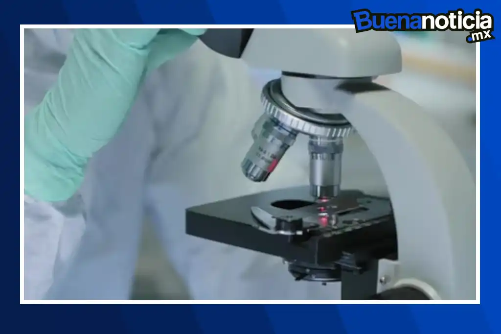 Un parche con millones de nanoagujas microscópicas podría poner fin a las biopsias tradicionales, ofreciendo una alternativa indolora, menos invasiva y más precisa para diagnosticar enfermedades como el cáncer o el Alzheimer.