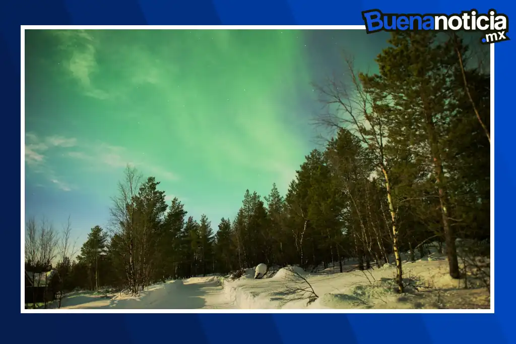 Finlandia ha dado un paso innovador hacia el turismo sostenible al implementar CopenPay, un programa nacido en Copenhague que premia a los viajeros por tomar decisiones ecológicas durante sus viajes.