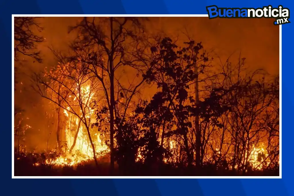 Investigadores de la Universidad de Tel Aviv desarrollaron un método innovador basado en inteligencia artificial (IA) que mejora notablemente la predicción de incendios forestales, adaptándolo a las características específicas de cada país y región. 