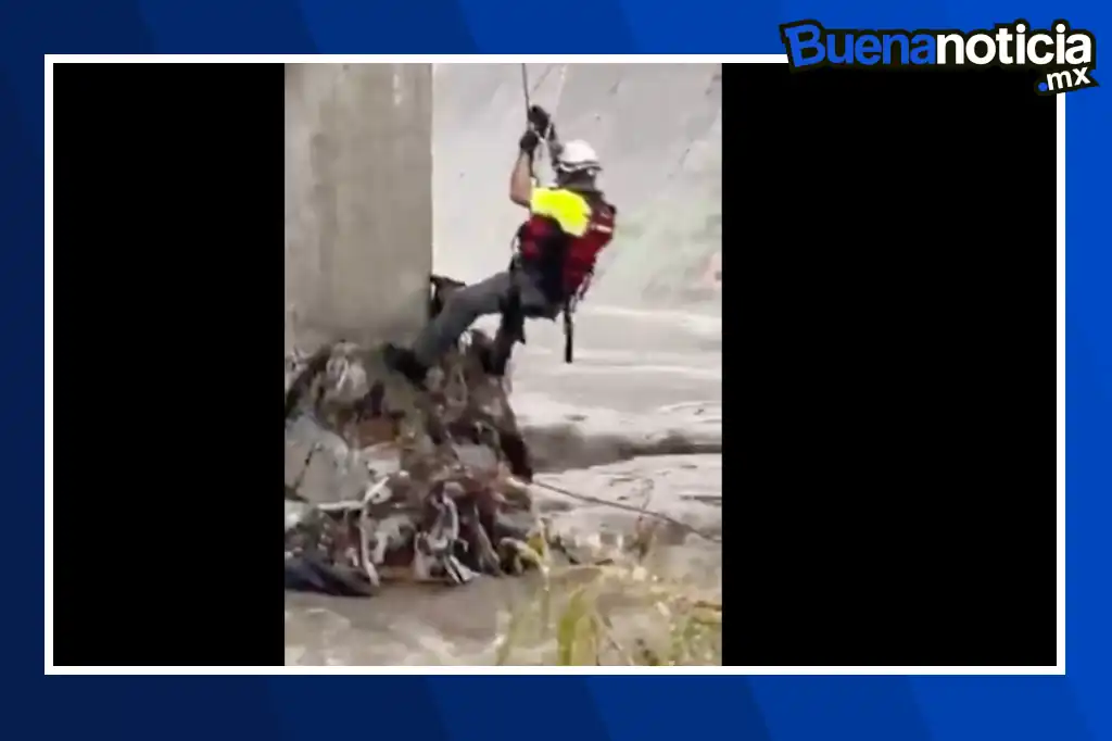 La tarde del miércoles 20 de agosto, cuerpos de rescate de Protección Civil de San Pedro lograron salvar a un perrito que había quedado atrapado en el arroyo El Obispo, tras las intensas lluvias registradas en la zona metropolitana de Monterrey.