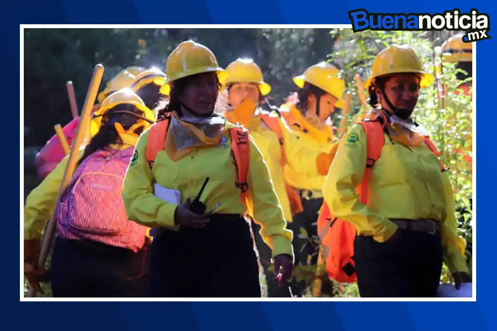 Brigada 031, la primera colectiva femenina dedicada a la protección de los bosques en el Estado de México, surgió como una respuesta a la alarmante frecuencia de incendios forestales en la región: 1 de cada 5 siniestros ocurren en esta entidad, y el 99% de ellos son consecuencia de descuidos humanos.