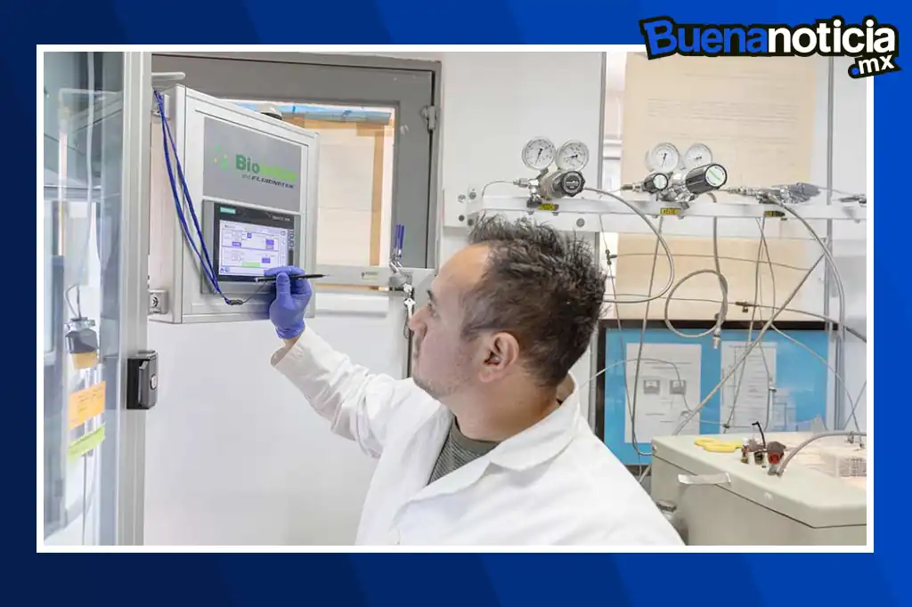 Científicos del Instituto Politécnico Nacional (IPN) desarrollaron una innovadora tecnología que permite el crecimiento y propagación de células de piel a través de andamios hechos de nanofibras de colágeno, prácticamente invisibles al ojo humano.