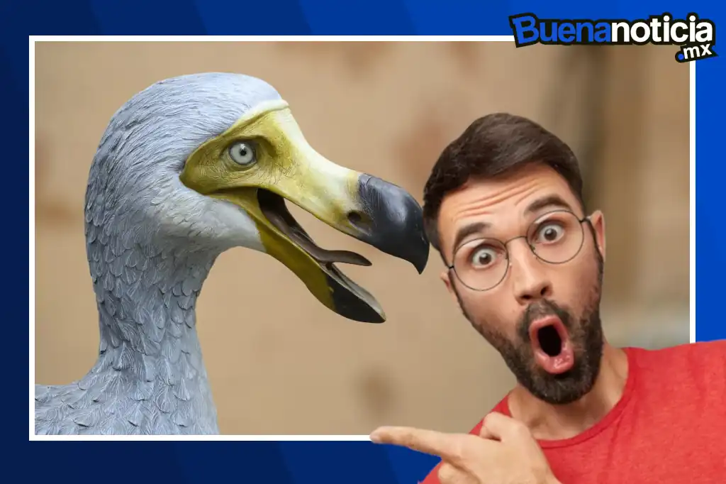 Científicos trabajan para traer de vuelta al dodo desaparecido hace 300 años.