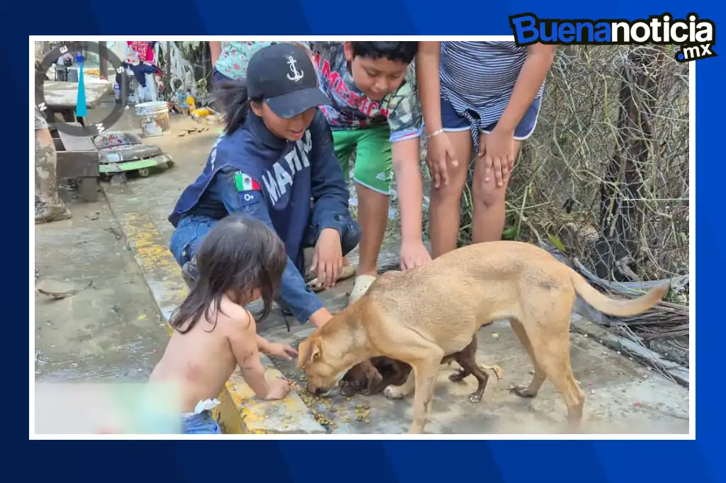 El rescate de animales en Veracruz se ha convertido en una muestra de solidaridad y empatía en medio de la tragedia que dejaron las intensas lluvias en varios estados del país.