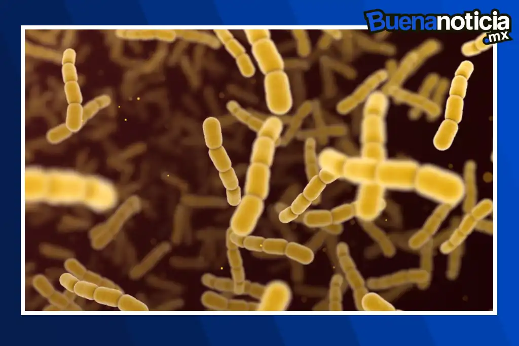 Un equipo internacional de científicos ha descubierto un potente antibiótico que podría representar una nueva esperanza contra las infecciones causadas por superbacterias resistentes a los medicamentos.