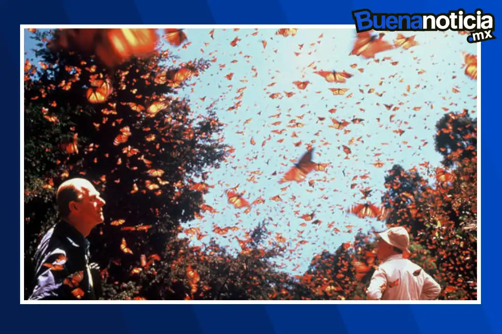 Inauguran la primera Cumbre Nacional Mariposa Monarca para impulsar su conservación