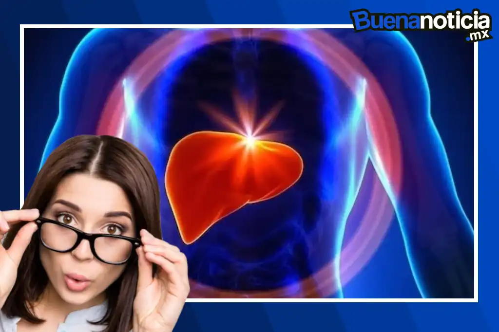 Investigadores de la Facultad de Ciencias (FC) de la UNAM crearon un “hígado en un chip” que replica funciones del órgano humano para probar fármacos, utilizando la misma tecnología empleada en la fabricación de celulares y dispositivos electrónicos en miniatura.