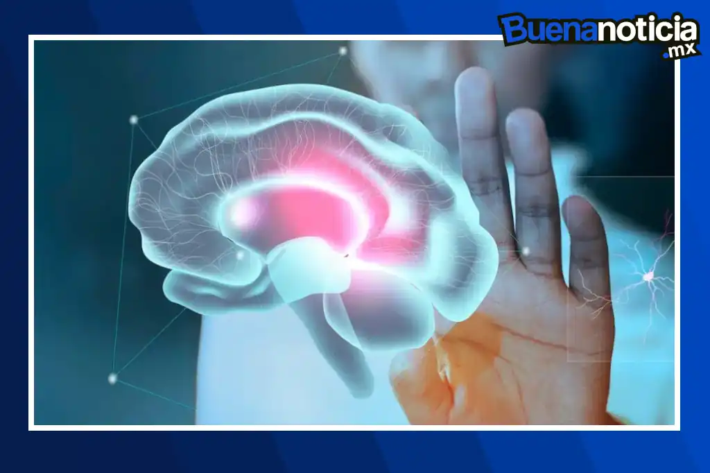 Un equipo multidisciplinario ha logrado un hito en neurociencia al aplicar técnicas de cosmología para “escuchar” la estructura del cerebro humano.