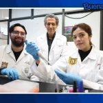 Buena noticia: Investigadores del IPN logran regenerar hueso, cartílago y músculo con células madre