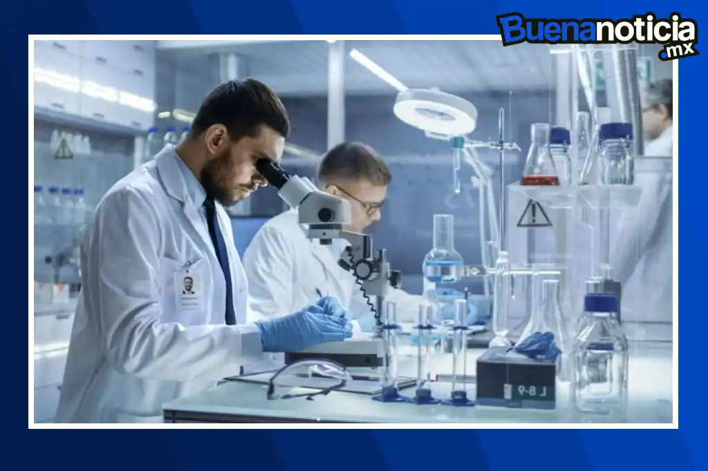 Buena noticia: Una nueva estrategia fortalece al sistema inmune en la lucha contra el cáncer