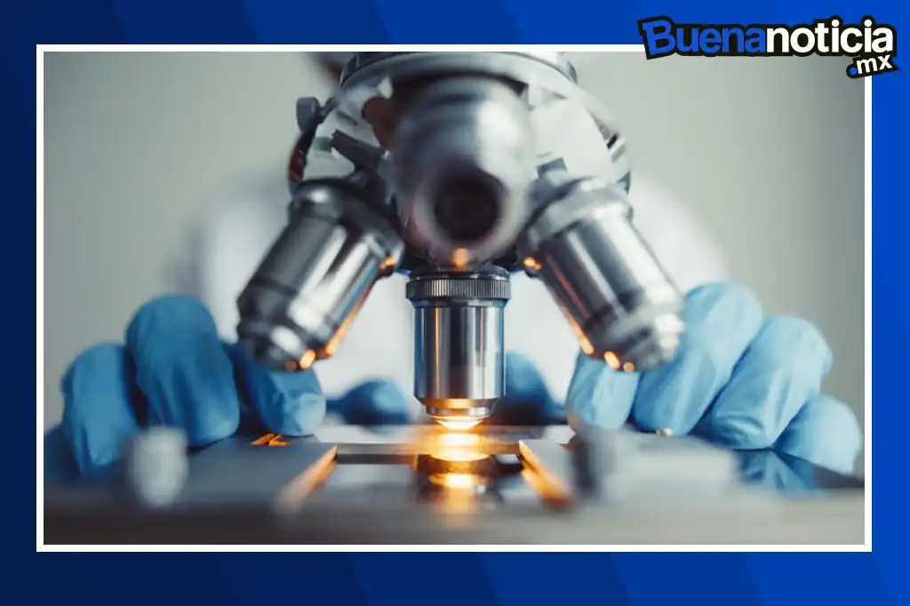Buena noticia: Científicos brasileños eliminan virus con ultrasonido sin dañar células