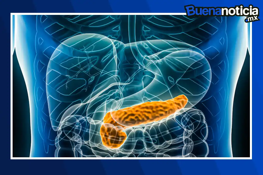 Buena noticia: Un páncreas artificial promete revolucionar el tratamiento de la diabetes tipo 1