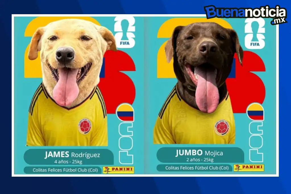 Buena noticia: Iniciativa en Colombia convierte a perritos rescatados en figuras del álbum Panini para promover su adopción