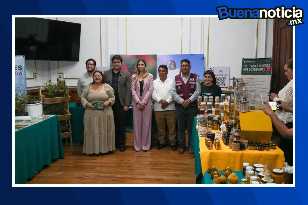 Buena noticia: CDMX aprueba la Ley para el Fomento Apícola y declara a las abejas como especie prioritaria