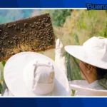 Buena noticia: Mujeres impulsan la conservación de las abejas nativas y la biodiversidad en la Amazonía peruana