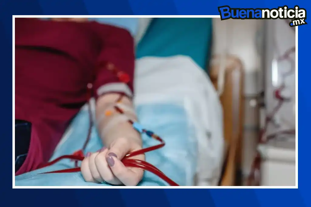 Buena noticia: Científicos de Singapur descubren mecanismo que podría regenerar riñones dañados