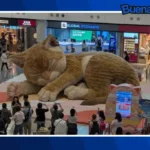 Buena noticia: Un gato gigante de ocho metros conquista a los pasajeros en Hong Kong