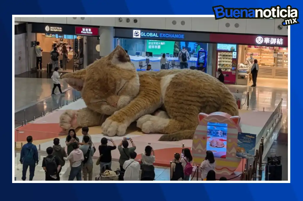 Buena noticia: Un gato gigante de ocho metros conquista a los pasajeros en Hong Kong