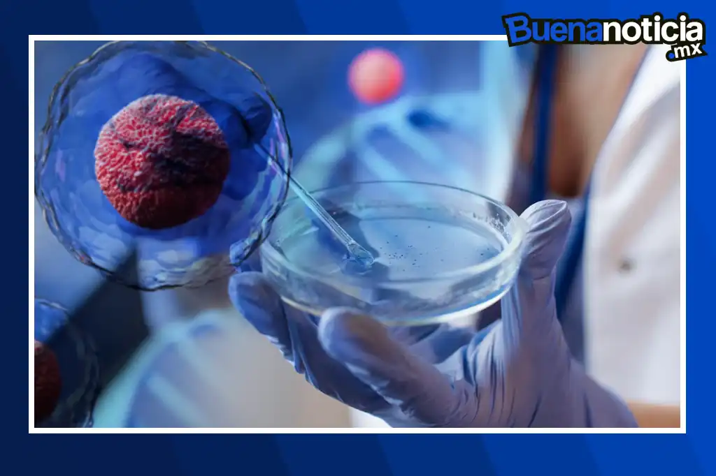 Buena noticia: Japón da un nuevo paso hacia la regeneración del corazón con cirugía que utiliza células madre